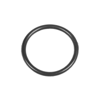 Oring Cedrus pressure washer MC110 560167