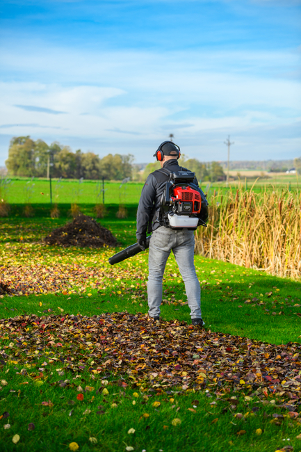 CEDRUS DM05 PRO PROFESSIONAL GARDEN LEAF BLOWER VACUUM CLEANER - OFFICIAL DISTRIBUTOR - AUTHORIZED CEDRUS DEALER