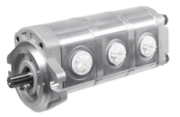 Cedrus diesel transporter pump CEDTR800GH-L 790254