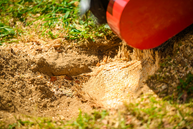 CEDRUS FR01 ROOT PLANTER TREE GRUBBER 15 KM - EWIMAX - OFFICIAL DISTRIBUTOR - AUTHORIZED CEDRUS DEALER