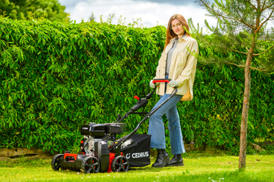 CEDRUS WR01 SPRELINER TREATER AREATOR 2-in-1 5.5 HP - EWIMAX - OFFICIAL DISTRIBUTOR - AUTHORIZED DEALER CEDRUS