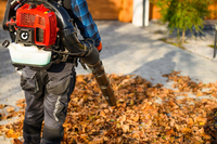 CEDRUS DM05 PRO PROFESSIONAL GARDEN LEAF BLOWER VACUUM CLEANER - OFFICIAL DISTRIBUTOR - AUTHORIZED CEDRUS DEALER