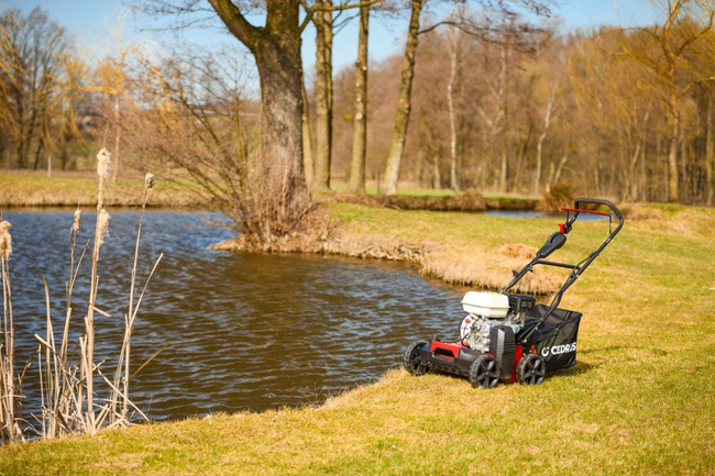 CEDRUS WR01-H WERTYKULATOR SPALINOWY DO TRAWY AREATOR 2w1 6 KM HONDA GP200 - EWIMAX - OFICJALNY DYSTRYBUTOR - AUTORYZOWANY DEALER CEDRUS