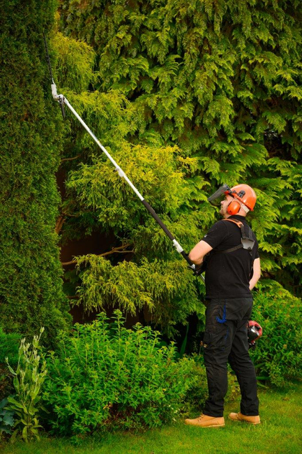 CEDRUS UW552 / UW520 KOSA SPALINOWA DO TRAWY PIŁA ŁAŃCUCHOWA SEKATOR URZĄDZENIE WIELOFUNKCYJNE PODKASZARKA WYKASZARKA 1.8 KM 