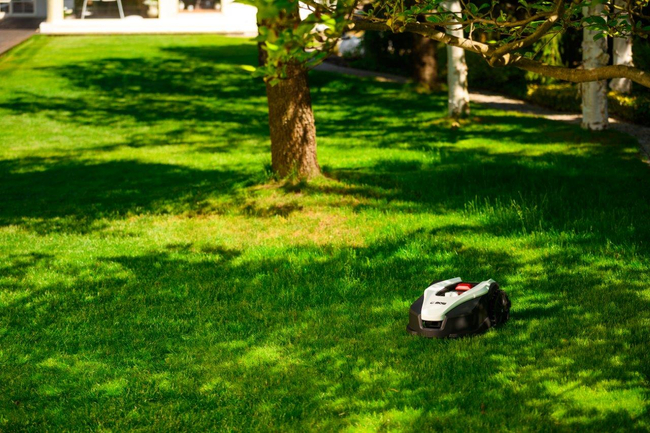 CEDRUS M12+ AUTOMATIC MOW MOWING ROBOT 1200m2 - OFFICIAL DISTRIBUTOR - AUTHORIZED DEALER CEDRUS
