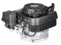 Loncin motor LC1P70FC svislá hřídel 22,2 mm / 80 mm s přídavkem. válec LC1P70FC-WEIBANG