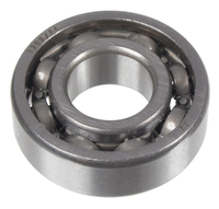 Bearing 6202 Cedrus soil planter GLX540 360720019