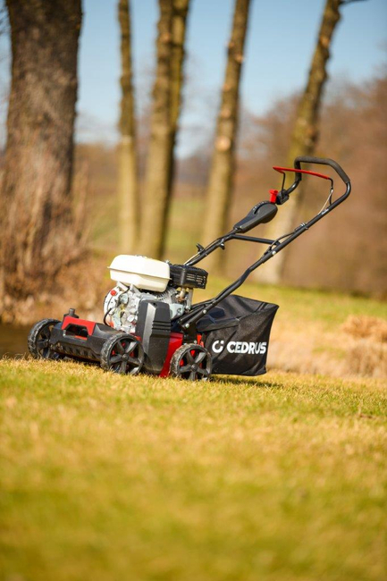 CEDRUS WR01-H SPRELINER TREE TILLER AREATOR 2-in-1 6 HP HONDA GP200 - EWIMAX - OFFICIAL DISTRIBUTOR - AUTHORIZED DEALER CEDRUS