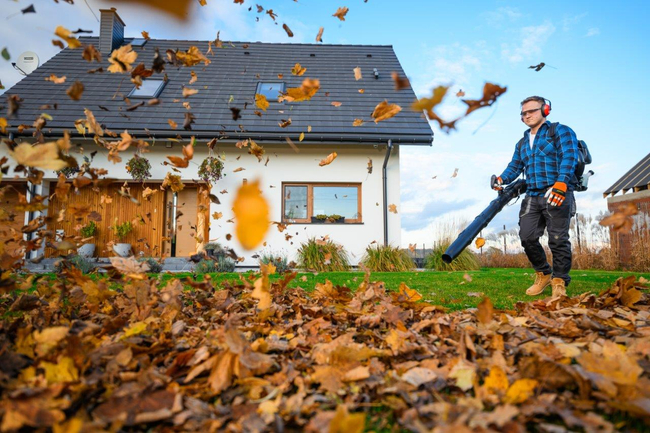 CEDRUS DM05 PRO PROFESSIONAL GARDEN LEAF BLOWER VACUUM CLEANER - OFFICIAL DISTRIBUTOR - AUTHORIZED CEDRUS DEALER