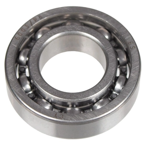 Bearing 6003 Cedrus soil planter GLX540 360720004