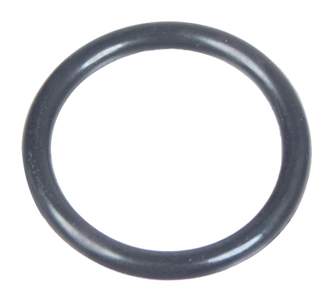 Oring Cedrus pressure washer MC110 560123