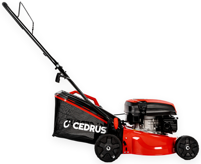 CEDRUS KS42 KOSIARKA SPALINOWA DO TRAWY KS 42 cm / 4,2KM - EWIMAX - OFICJALNY DYSTRYBUTOR - AUTORYZOWANY DEALER CEDRUS