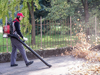 CIFARELLI BL1200 LEAF BLOWER VACUUM CLEANER BL 1200 GARDEN PROFI PROFESSIONAL - OFFICIAL DISTRIBUTOR - AUTHORIZED CIFARELLI DEALER