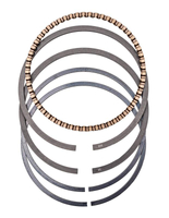 Pístní kroužky cpl. Loncin LC1P61FE ORIGINÁLNÍ DÍL 130070221-0001