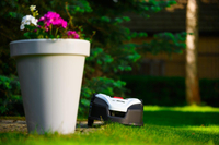 CEDRUS M6+ AUTOMATIC MOW MOWING ROBOT 600m2 - OFICIÁLNÍ DISTRIBUTOR - AUTORIZOVANÝ PRODEJCE CEDRUS