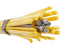 KOVOVÝ DRÁTĚNÝ KARTÁČ CEDRUS FIBRE 900022/L PRO CEDRUS SC02 SPALOVACÍ KARTÁČ ZAMETACÍ KARTÁČ NA ODSTRAŇOVÁNÍ MECHU PLEVELE ČISTIČ DLAŽBY, CHODNÍKŮ