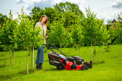 CEDRUS KS51S-H-ZT HONDA 5in1 SPRINEL MOWER WITH DRIVE 51cm / 4.6 HP HONDA GCV170 - EWIMAX - OFFICIAL DISTRIBUTOR - AUTHORIZED DEALER CEDRUS