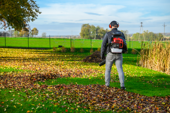 CEDRUS DM05 PRO PROFESSIONAL GARDEN LEAF BLOWER HOOVER - OFICIÁLNÍ DISTRIBUTOR - AUTORIZOVANÝ PRODEJCE CEDRUS