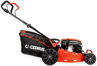 CEDRUS KS48 lawn mower 48cm / 4,2 hp - EWIMAX - OFFICIAL DISTRIBUTOR - AUTHORIZED DEALER CEDRUS