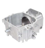 Cylinder Cedrus silnik Y170V 485070