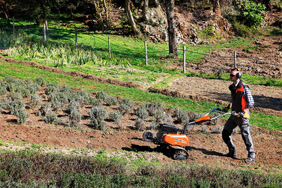 OLEO-MAC MH 198 RKS GLEBOGRYZARKA SPALINOWA OGRODOWA KULTYWATOR 6KM / 85 cm KLASA PREMIUM 68589012E5 EWIMAX - OFICJALNY DYSTRYBUTOR - AUTORYZOWANY DEALER OLEO-MAC