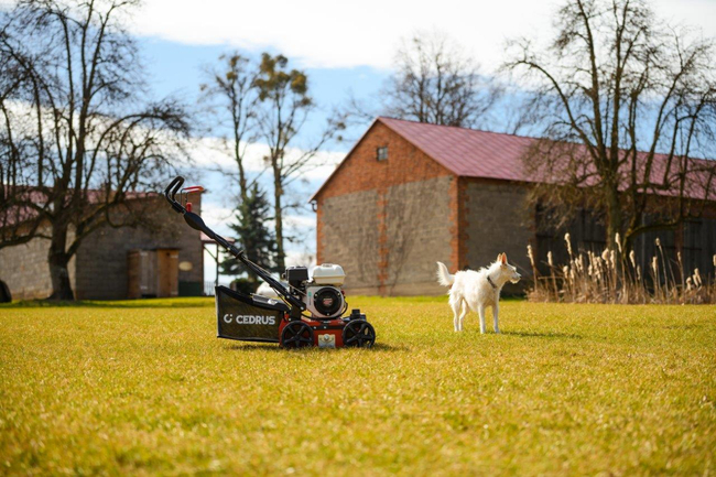 CEDRUS WR01-H SPRELINER TREE TILLER AREATOR 2-in-1 6 HP HONDA GP200 - EWIMAX - OFFICIAL DISTRIBUTOR - AUTHORIZED DEALER CEDRUS