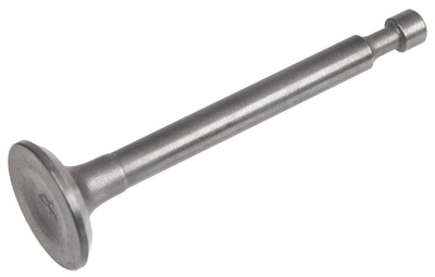 Cedrus Y139V 480369 exhaust valve