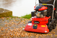 CEDRUS LV58 S PROFESSIONAL CLEANER + 4in1 SPRINEL LEAF VERTICULATOR 4in1 GARDEN DRIVE ROAD DRIVER 2in1 LV58S - OFFICIAL DISTRIBUTOR - AUTHORIZED DEALER CEDRUS