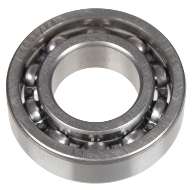 Bearing 6003 Cedrus soil planter GLX540 360720004