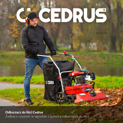 CEDRUS LV58 S PROFESSIONAL CLEANER + 4in1 SPRINEL LEAF VERTICULATOR 4in1 GARDEN DRIVE ROAD DRIVER 2in1 LV58S - OFFICIAL DISTRIBUTOR - AUTHORIZED DEALER CEDRUS
