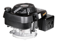 Loncin motor LC1P70FC svislá hřídel 22,2 mm / 80 mm s přídavkem. válec LC1P70FC-WEIBANG