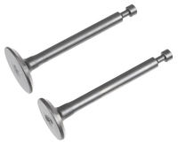 Rato engine R60i intake/exhaust valve 12110-Z900110-00A0