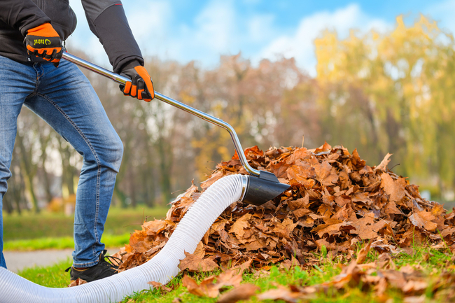 CEDRUS LV58 S PROFESSIONAL CLEANER + 4in1 SPRINEL LEAF VERTICULATOR 4in1 GARDEN DRIVE ROAD DRIVER 2in1 LV58S - OFFICIAL DISTRIBUTOR - AUTHORIZED DEALER CEDRUS