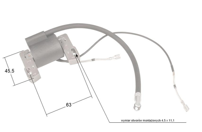 Modul zapalování B&S Intek V-Twin ORIGINÁLNÍ DÍL