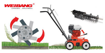 Wertykulator spalinowy Weibang WB384 RB silnik Briggs&Stratton