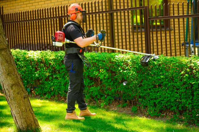 CEDRUS WK330 BENZÍNOVÁ SEKAČKA NA TRÁVU 1,2 KM EWIMAX-OCIAL DISTRIBUTOR - AUTORIZOVANÝ PRODEJCE CEDRUS