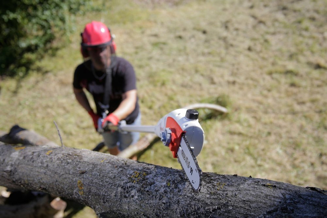 IKRA IEAS 750 PIŁA PILARKA PRZECINARKA PODKRZESYWARKA DO DREWNA GAŁĘZI ELEKTRYCZNA NA WYSIĘGNIKU 20 cm / 750 W PREMIUM OB-IKRIEAS750 EWIMAX - OFICJALNY DYSTRYBUTOR - AUTORYZOWANY DEALER IKRA
