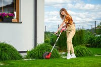 Cedrus Cordless Trimmer CEDST280LI CEDST280LI