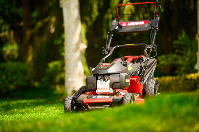 HONDA KOSIARKA SPALINOWA DO TRAWY CEDRUS KS53S-H AL ALUMIONIOWA Z NAPĘDEM HONDA GCV200 5w1 53cm / 4.1 KM - EWIMAX - OFICJALNY DYSTRYBUTOR - AUTORYZOWANY DEALER CEDRUS