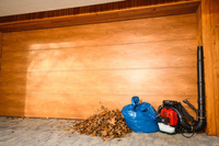 CEDRUS DM05 PRO PROFESSIONAL GARDEN LEAF BLOWER VACUUM CLEANER - OFFICIAL DISTRIBUTOR - AUTHORIZED CEDRUS DEALER