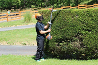 OLEO MAC BC 241 H POLE PRUNER HEDGE SHEAR BUSHES SHRUBS POWER 1.2KM PREMIUM CLASS 61379059E2 EWIMAX -OFFICIAL DISTRIBUTOR - AUTHORIZED OLEO-MAC DEALER