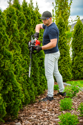 CEDRUS NZ02 SEKATOR SPRINEL SHARPS FOR CRIMINAL TREE AND TREE SHrubs SPRINEL HARVES 61cm - EWIMAX - OFFICIAL DISTRIBUTOR - AUTHORIZED DEALER CEDRUS