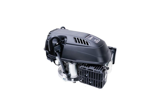 Cedrus engine Y196V - 196 cm3 480781