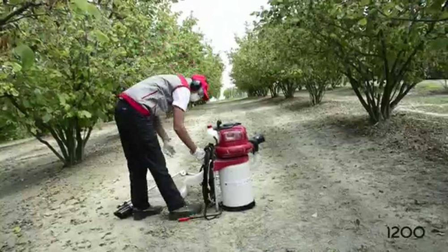 CIFARELLI V1200B CHESTNUT ACORN HOOVER PROFI PROFESSIONAL - OFICIÁLNÍ DISTRIBUTOR - AUTORIZOVANÝ PRODEJCE CIFARELLI