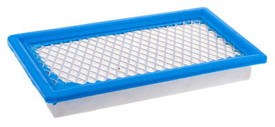 B&S 4 HP VANGUARD horizontal OHV air filter 8R02-19