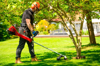 CEDRUS WK430X PETROL GRASS TRIMMER MOWER 1.8 KM EWIMAX - OFFICIAL DISTRIBUTOR - AUTHORIZED CEDRUS DEALER