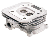 Cedrus head Y196V 480499