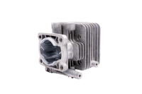 CEDRUS blower cylinder DM03 070476