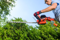 FAWORYT NEC750R ELECTRICITY CRIMBERRY SHOOTER 750W / 55cm