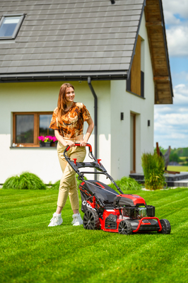 CEDRUS KS53S MOTORIZED SPRINEL MOWER 53cm / 5,7 HP - EWIMAX - OFFICIAL DISTRIBUTOR - AUTHORIZED DEALER CEDRUS